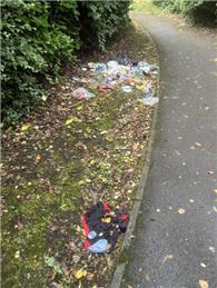 Morleys Green Flytip 06/06/2026